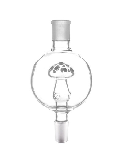 Kaya shisha mushroom - shisha,