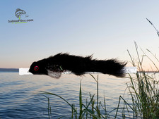 🎣 3er Set: Red Eyed Sculpin