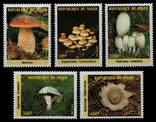 Niger 1985 962 - niger,