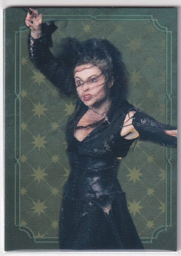 Panini harry potter evolution - panini,