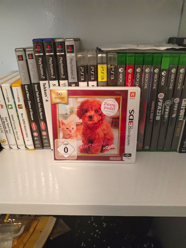 Nintendogs cats zwergpudel - nintendogs, &