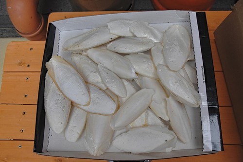 200gr kleine sepiaschalen - 200gr.,