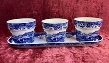 Ein schönes 3er Set Spode italienische Pflanztöpfe auf einem Tablett.