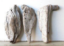 Treibholz Schwemmholz