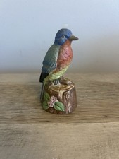 Bluebird Blue Jay Bird