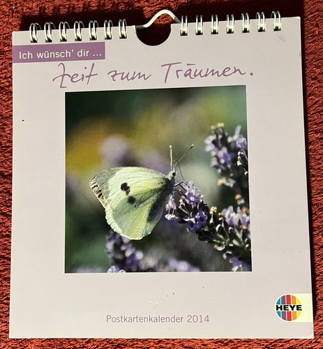 Zeit zum träumen - zeit,