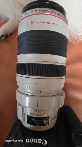 Canon 300mm 5 6l - canon, 28-300mm