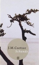 Schande: Roman (Fischer