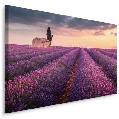 Canvas leinwand bilder xxl - leinwand,