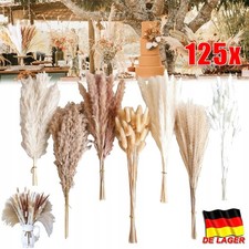 125 Stück Getrocknetes