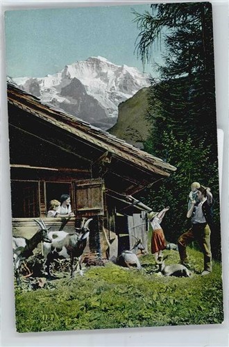 50562242 bergbauernhof - 50562242,