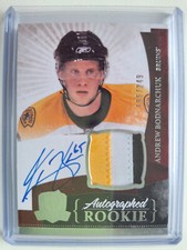 Bodnarchuk (Boston Bruins, Kassel Huskies, Icetigers) The Cup AU & Patch 196/249