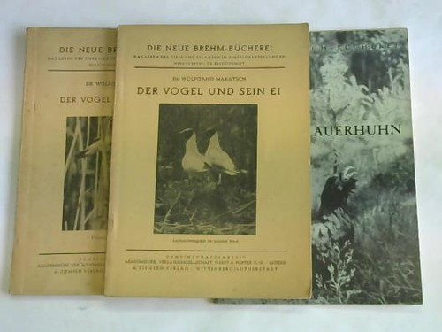Der vogel und sein - sein,