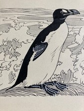 Originalzeichnung Wilhelm