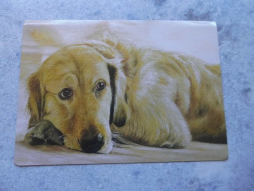 Antike hunde kunst postkarten - hunde, kunst-postkarten