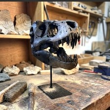 Tyrannosaurus rex dinosaurier - tyrannosaurus,