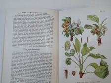 Otto Appel Atlas Krankheiten