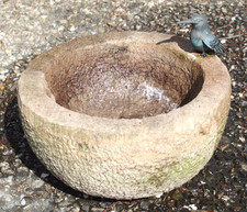 Vogeltränke bronze eisvogel - bronze,