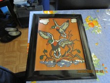 Bild mit Enten drauf