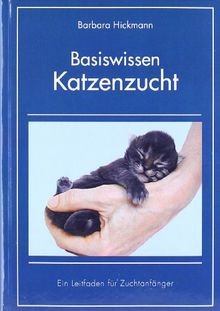 Basiswissen katzenzucht ein - basiswissen, katzenzucht: