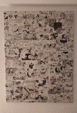 ONE PIECE Echte Manga Kunst