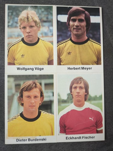 Bergmann 77 bor - bergmann,