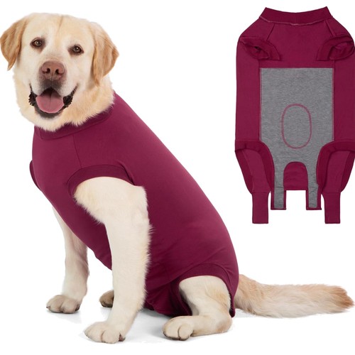 Hundebody kastration body - kastration, op