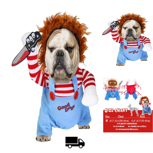 Halloween kostüm hund - halloween,
