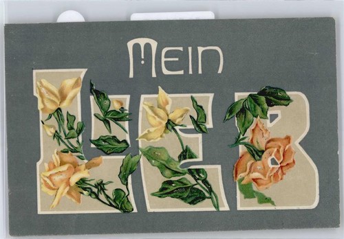 50588917 praegedruck - -,