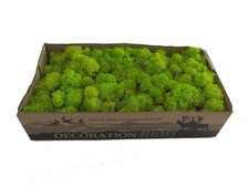 Konserviertes Islandmoos -