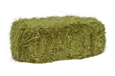 Agrar store 10kg grummet - agrar-store,