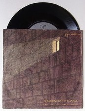 7" Vinyl Single : MIKE OLDFIELD (feat. Roger Chapman) 'Shadow on the wall' -1983