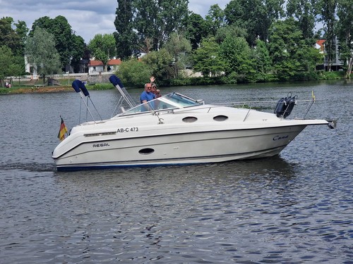 Motoryacht regal 258 commodore - regal,