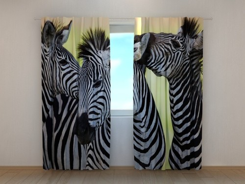 Foto gardine fotovorhang - gardine, zebra