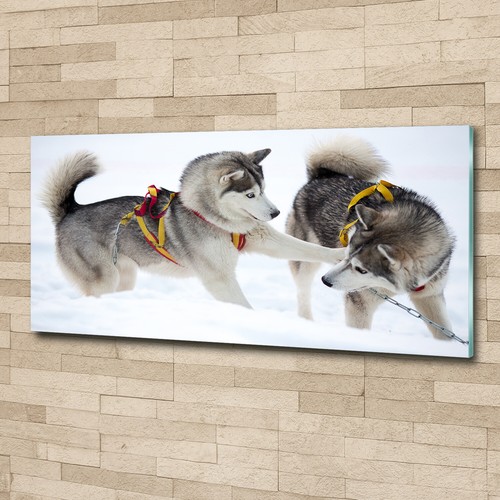 Wandbild aus plexiglas druck - wandbild,