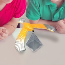 Balancing Eagle pädagogische