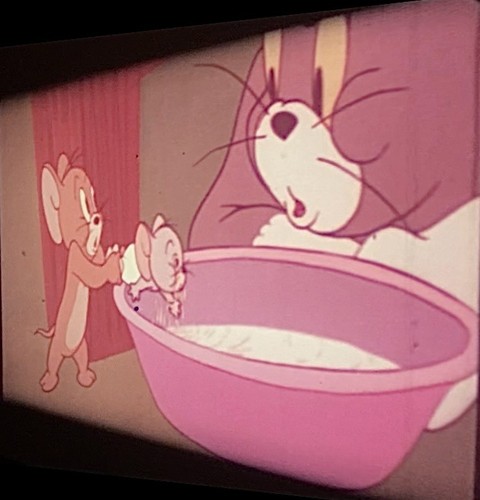 Tom jerry feedin the - jerry,