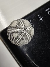 Seeigel Galerites Steinkern