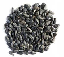 25 kg schwarze Sonnenblumenkerne Vogelfutter Winter
