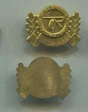 Anstecknadel Pin Reiter Spedition Rohling 21mm  (ko442)