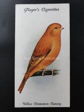 nr. 6 gelb Zimt Kanarische - Voliere und Käfig Vögel von John Spieler 1933