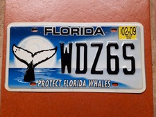 USA  SPECIAL LICENSE PLATE  FLORIDA PROTECT FLORIDA WHALES