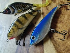Strike King Salmo Jerkbait Set