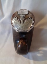 Antike schottische Horn Snuff mull mit Thistle Deckel Design