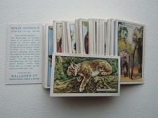 Gallaher LTD Zigarette Karten 1937 Wildtiere-Varianten (e35)