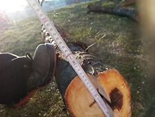 Apfelholz basteln Deko drechseln Holz Epoxidharz