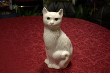 Weise Porzellan Katze mit grünen Augen und kleinem Makel sucht neues Zuhause