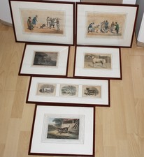 Kupferstich 8x Radierung Bunt Zeichnung Hund Hunde Antik 6x Glas Gerahmt