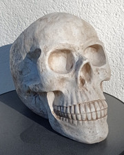 Großer Totenkopf XXL Totenschädel Schädel Dekofigur, gebraucht