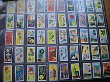  50er SET BARRATT BOTANISCHE QUEST BLUMEN BÄUME SAMEN NÜSSE ZWIEBELN BOTANISCH RHS